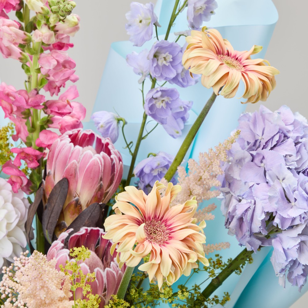 Wonderland 056 Wonderland 056