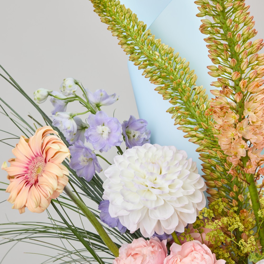 Wonderland 056 Wonderland 056