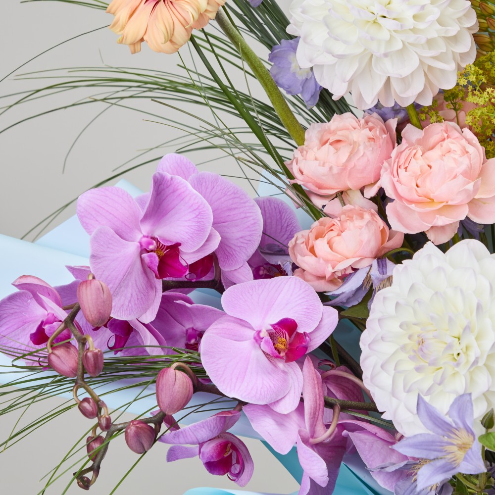 Wonderland 056 Wonderland 056