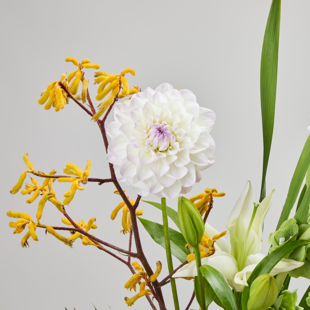 Wonderland 057 Wonderland 057