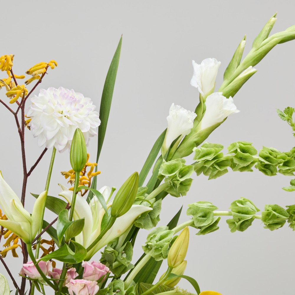 Wonderland 057 Wonderland 057