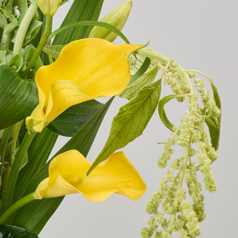 Wonderland 057 Wonderland 057