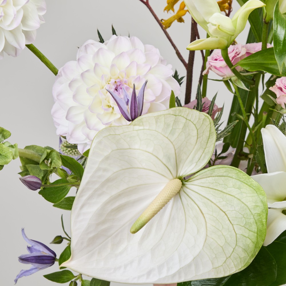 Wonderland 057 Wonderland 057