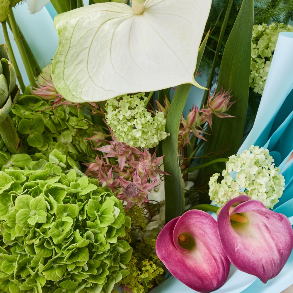 Wonderland 060 Wonderland 060