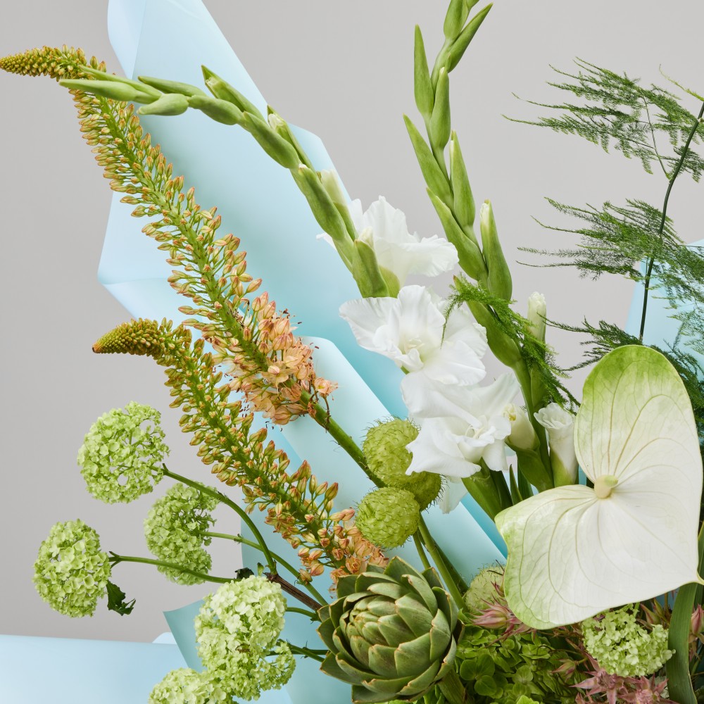 Wonderland 060 Wonderland 060