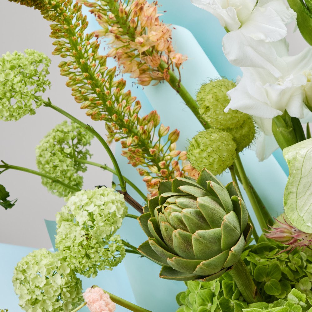 Wonderland 060 Wonderland 060