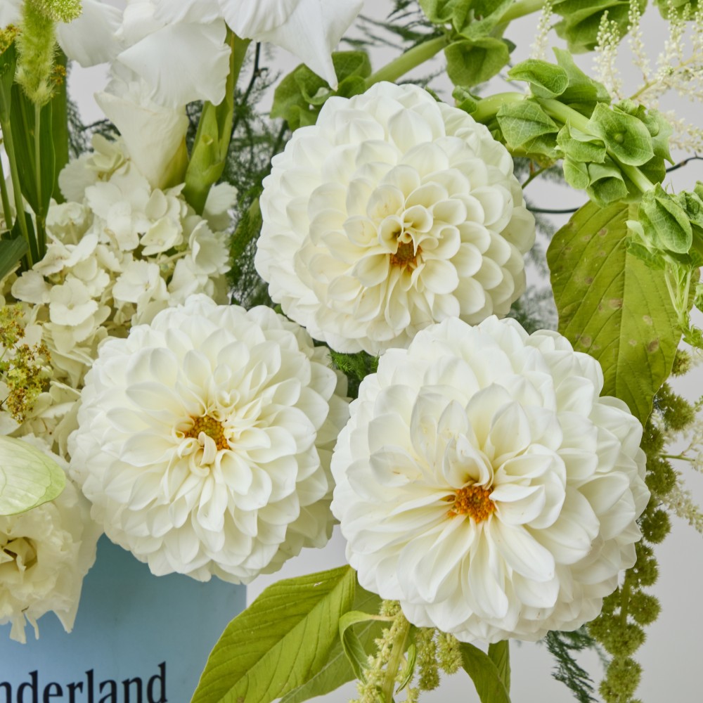 Wonderland 062 Wonderland 062