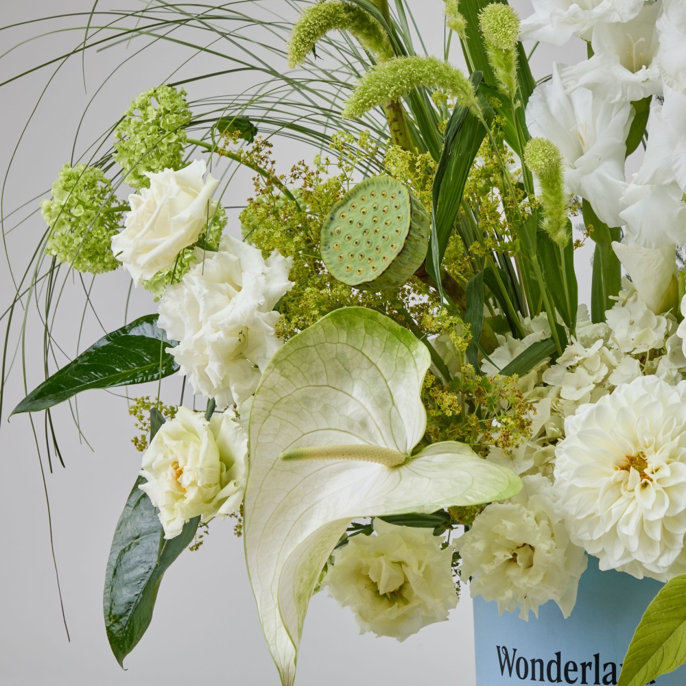 Wonderland 062 Wonderland 062