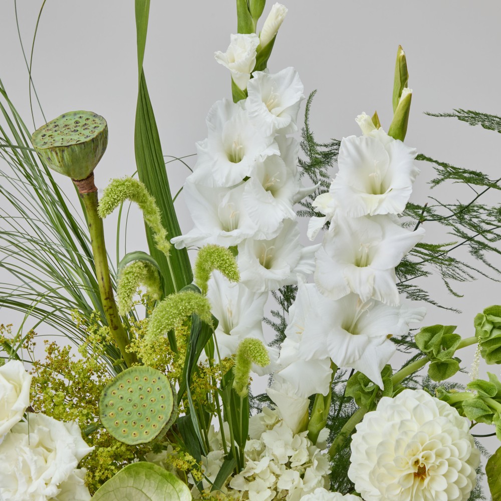 Wonderland 062 Wonderland 062