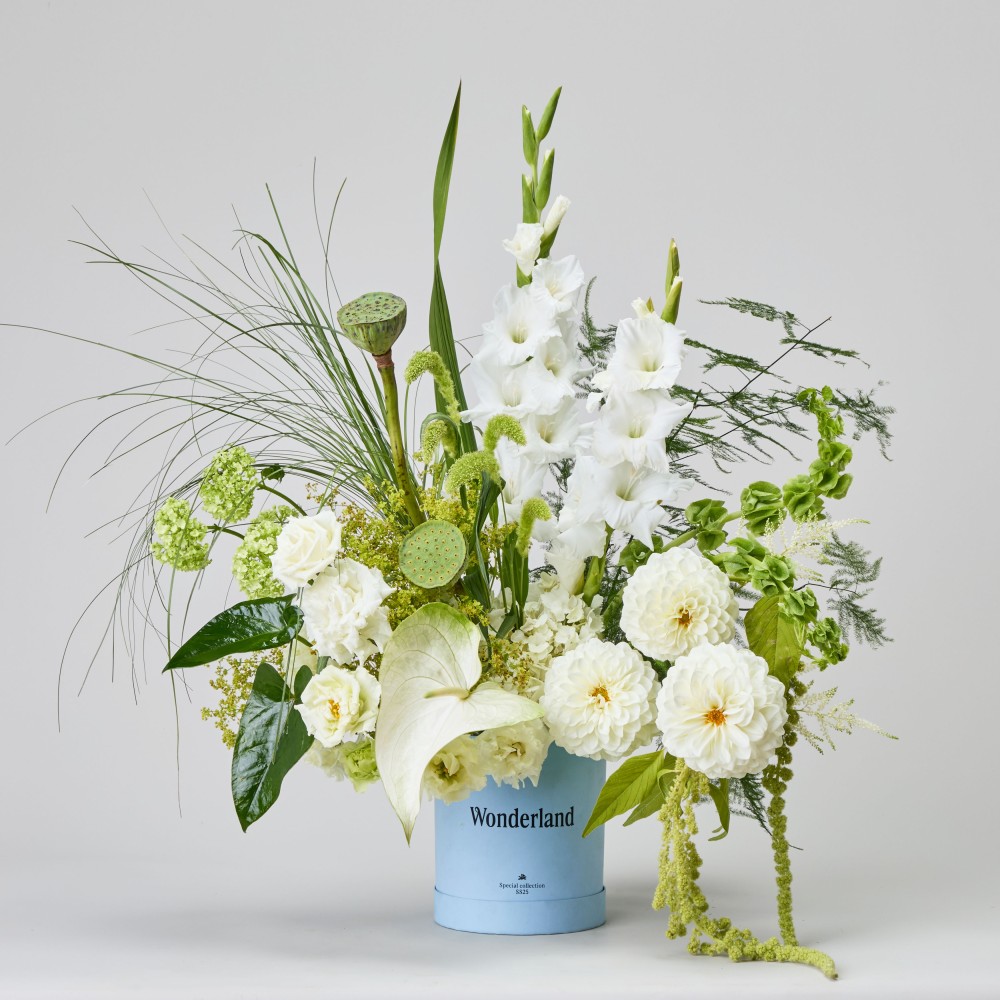 Wonderland 062 Wonderland 062