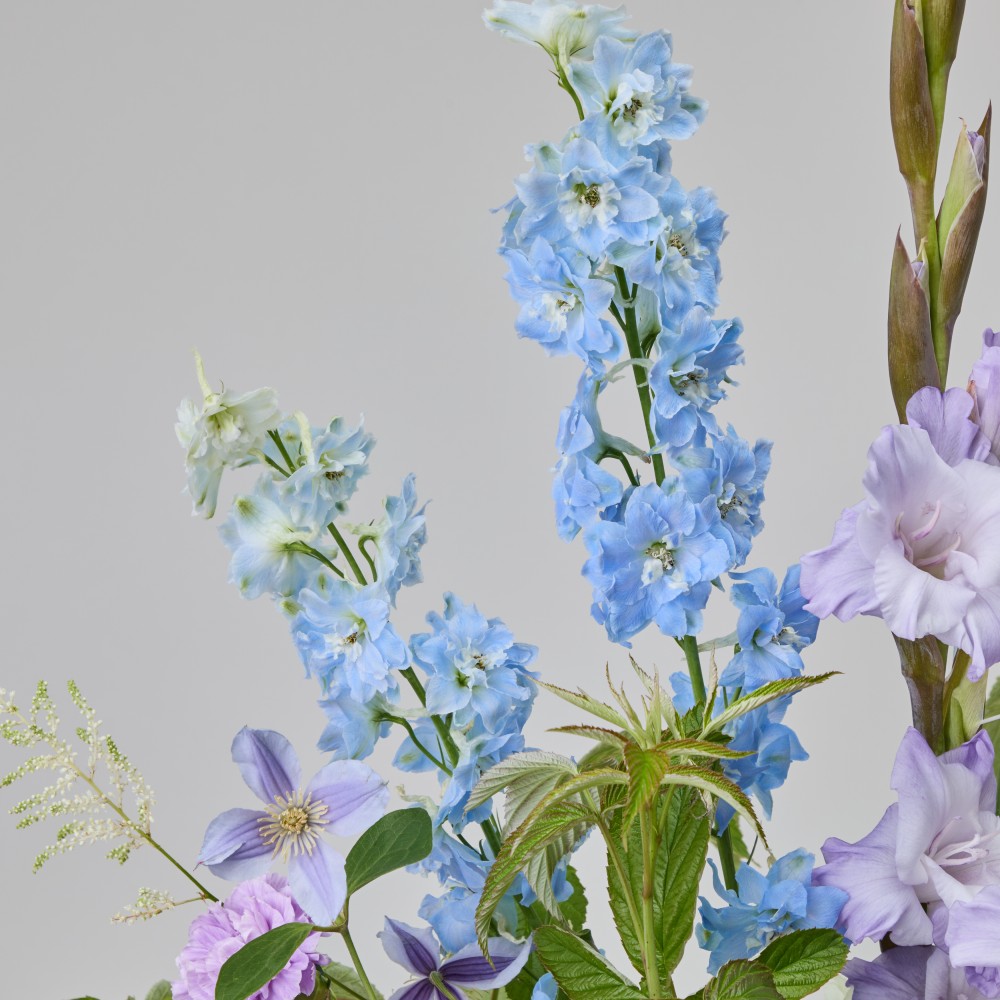 Wonderland 063 Wonderland 063