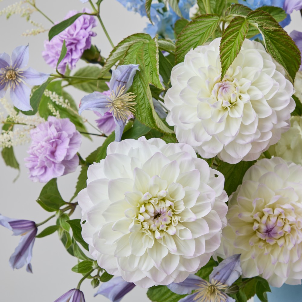 Wonderland 063 Wonderland 063