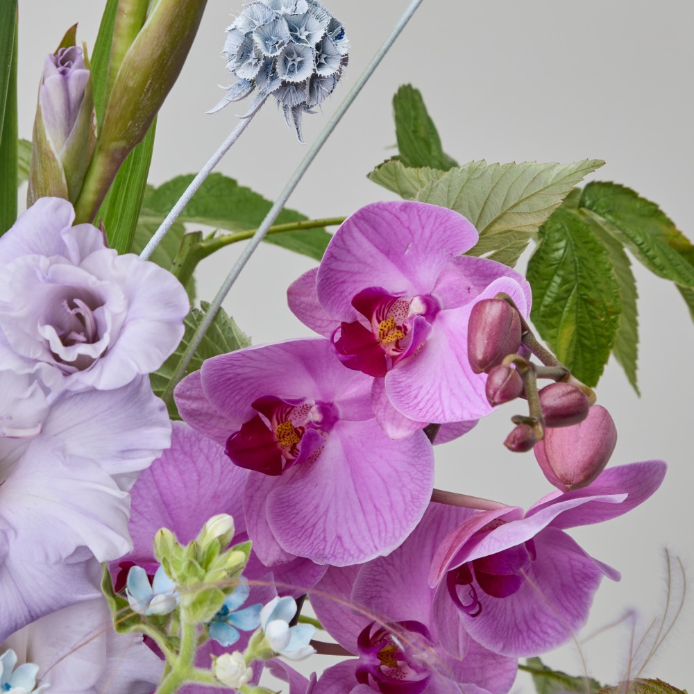 Wonderland 063 Wonderland 063