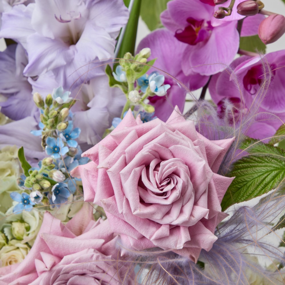 Wonderland 063 Wonderland 063