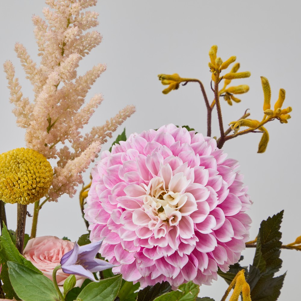 Wonderland 064 Wonderland 064