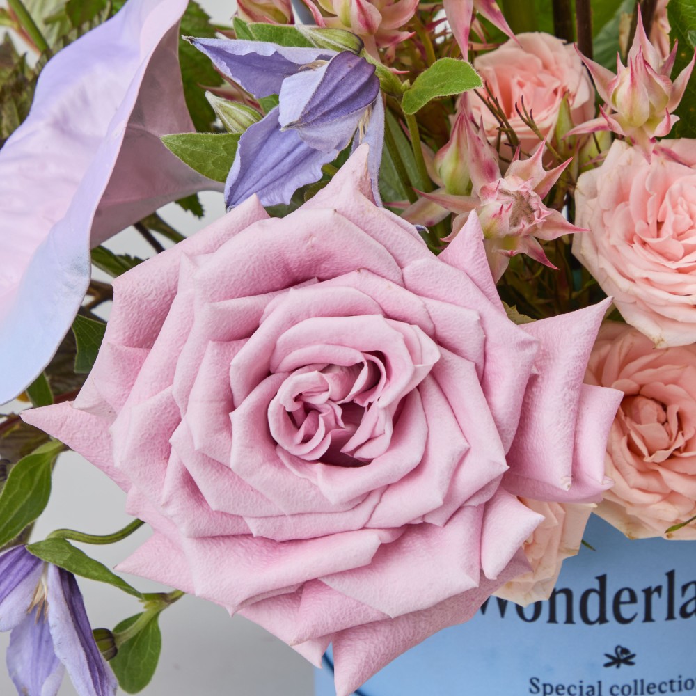 Wonderland 064 Wonderland 064