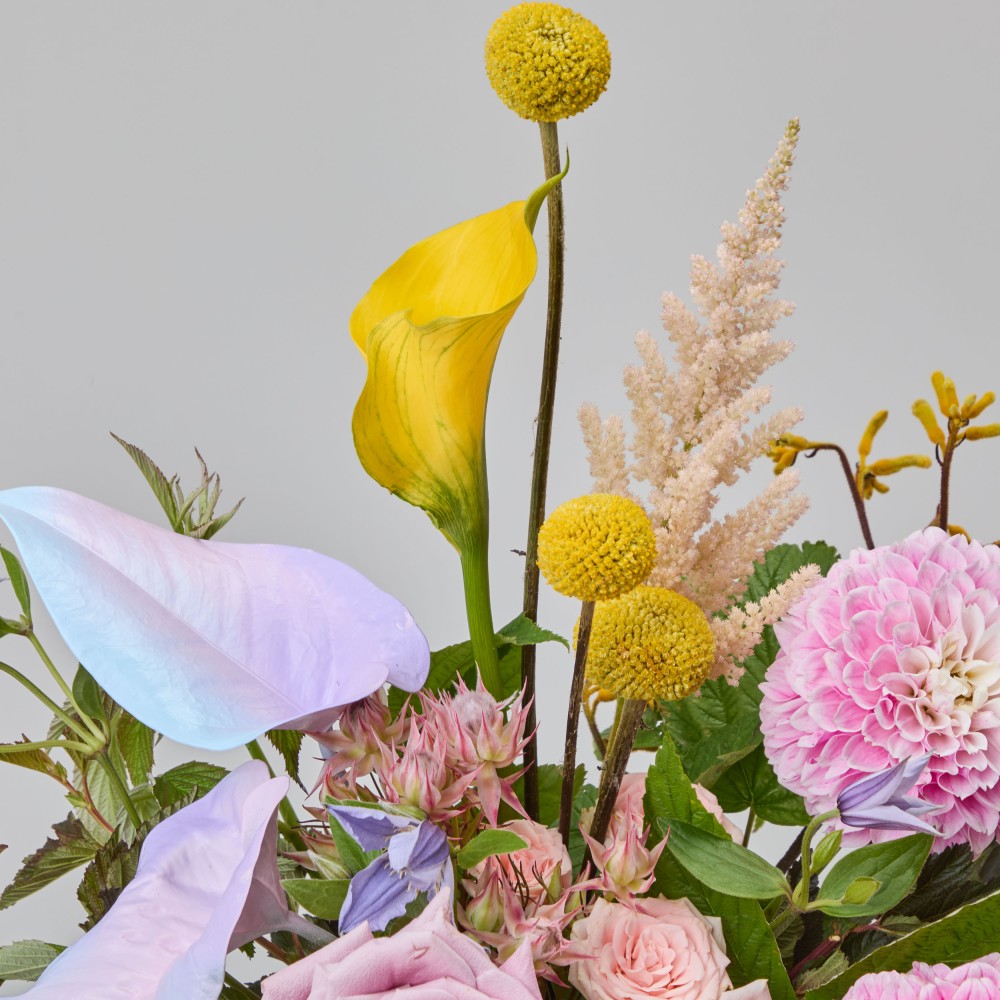 Wonderland 064 Wonderland 064