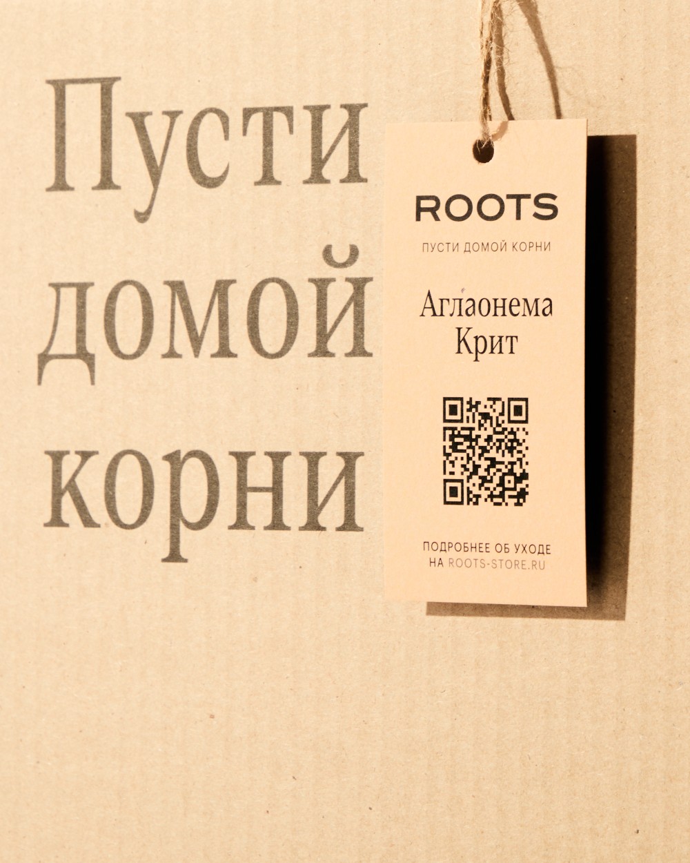 Аглаонема Крит Аглаонема Крит