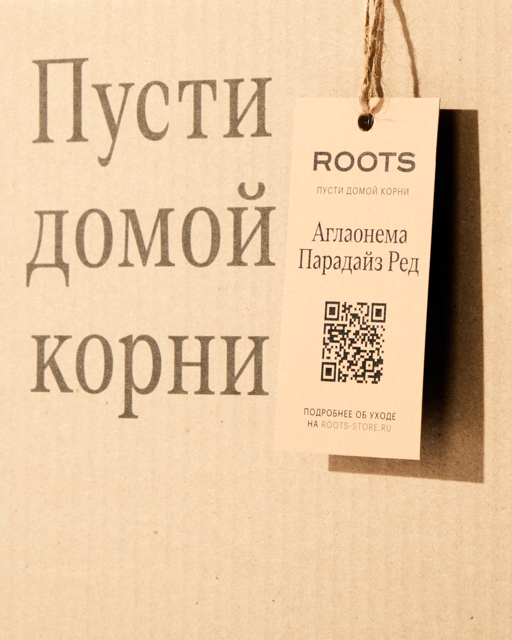 Аглаонема Парадайз Ред