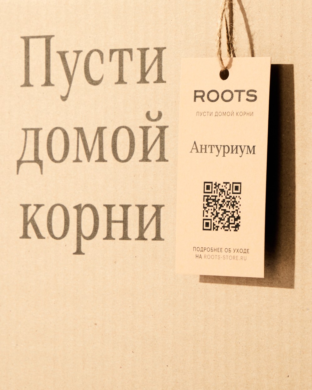 Антуриум Карма Пинк Антуриум Карма Пинк