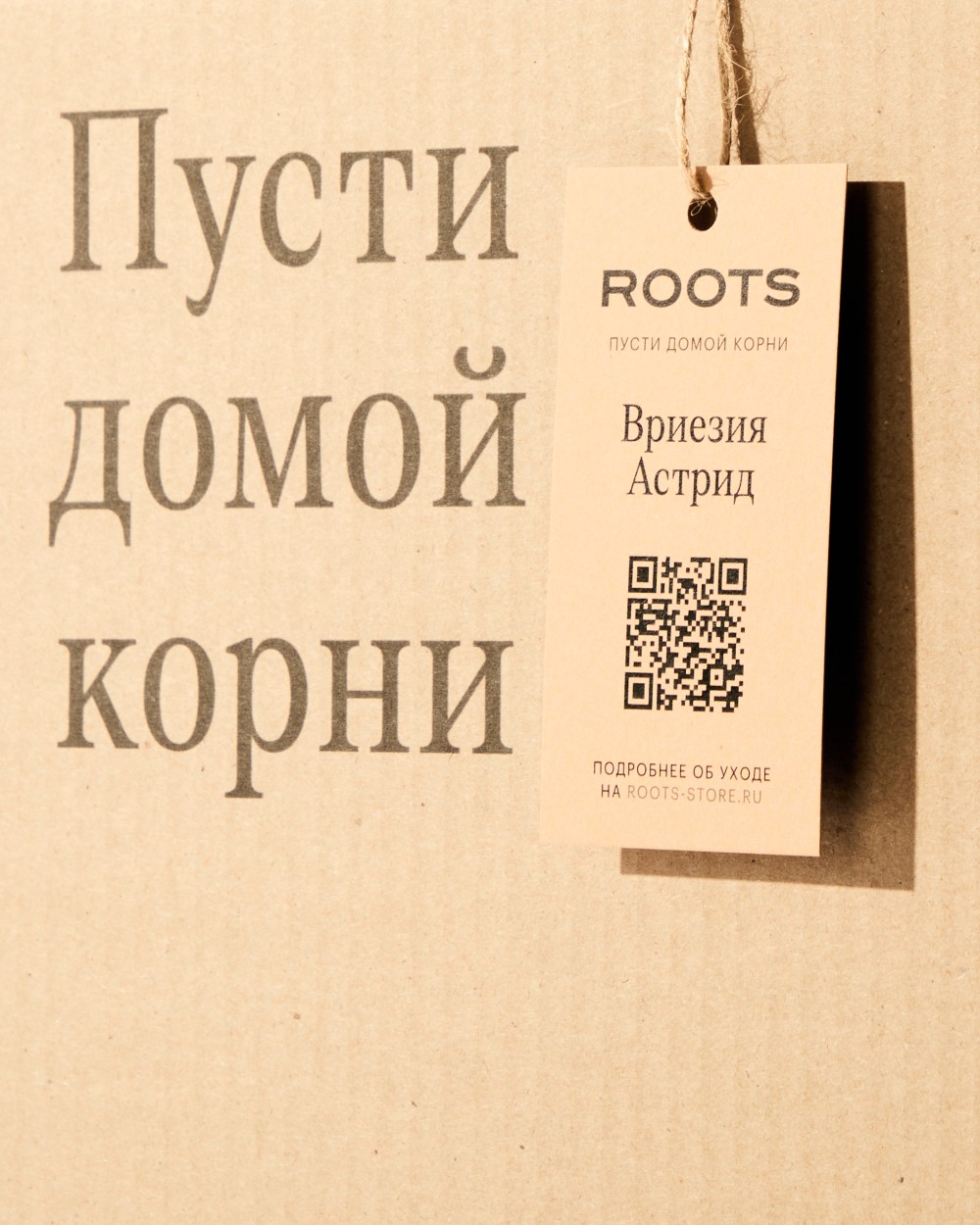 Вриезия Астрид Вриезия Астрид