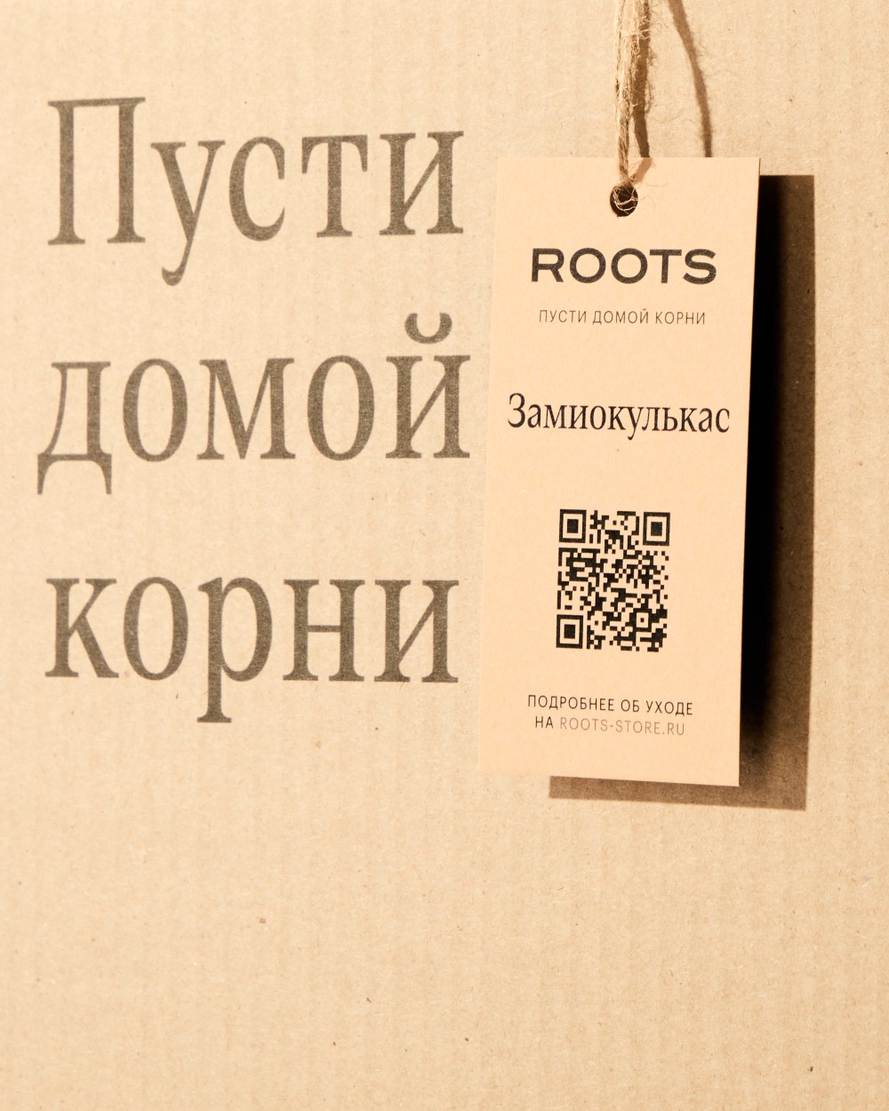 Замиокулькас Равен