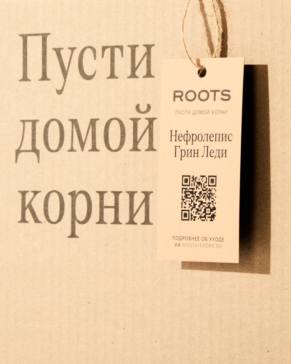 Нефролепсис Грин Леди