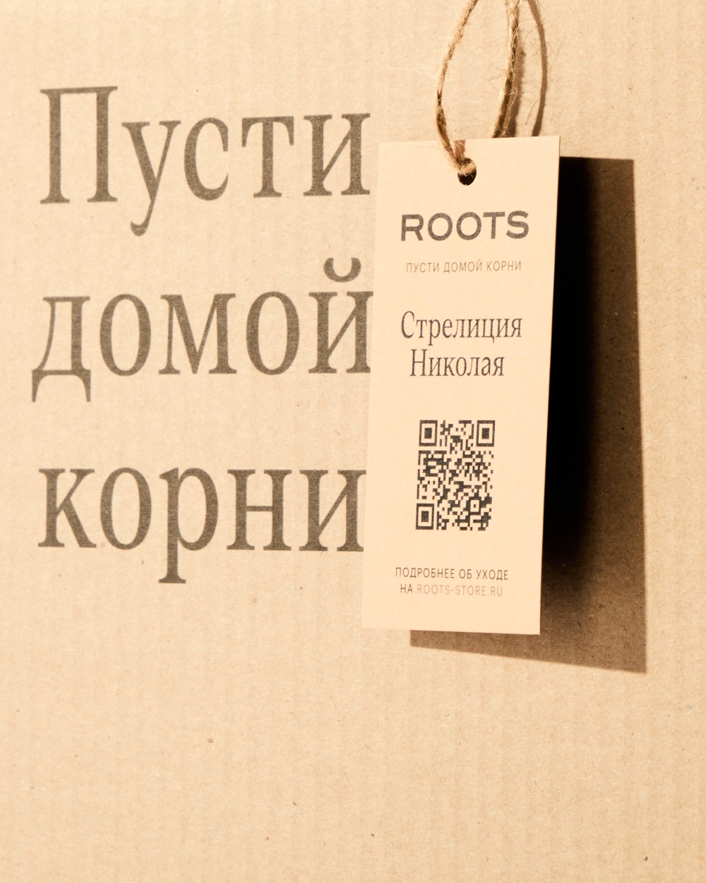 Стрелиция Николая Стрелиция Николая