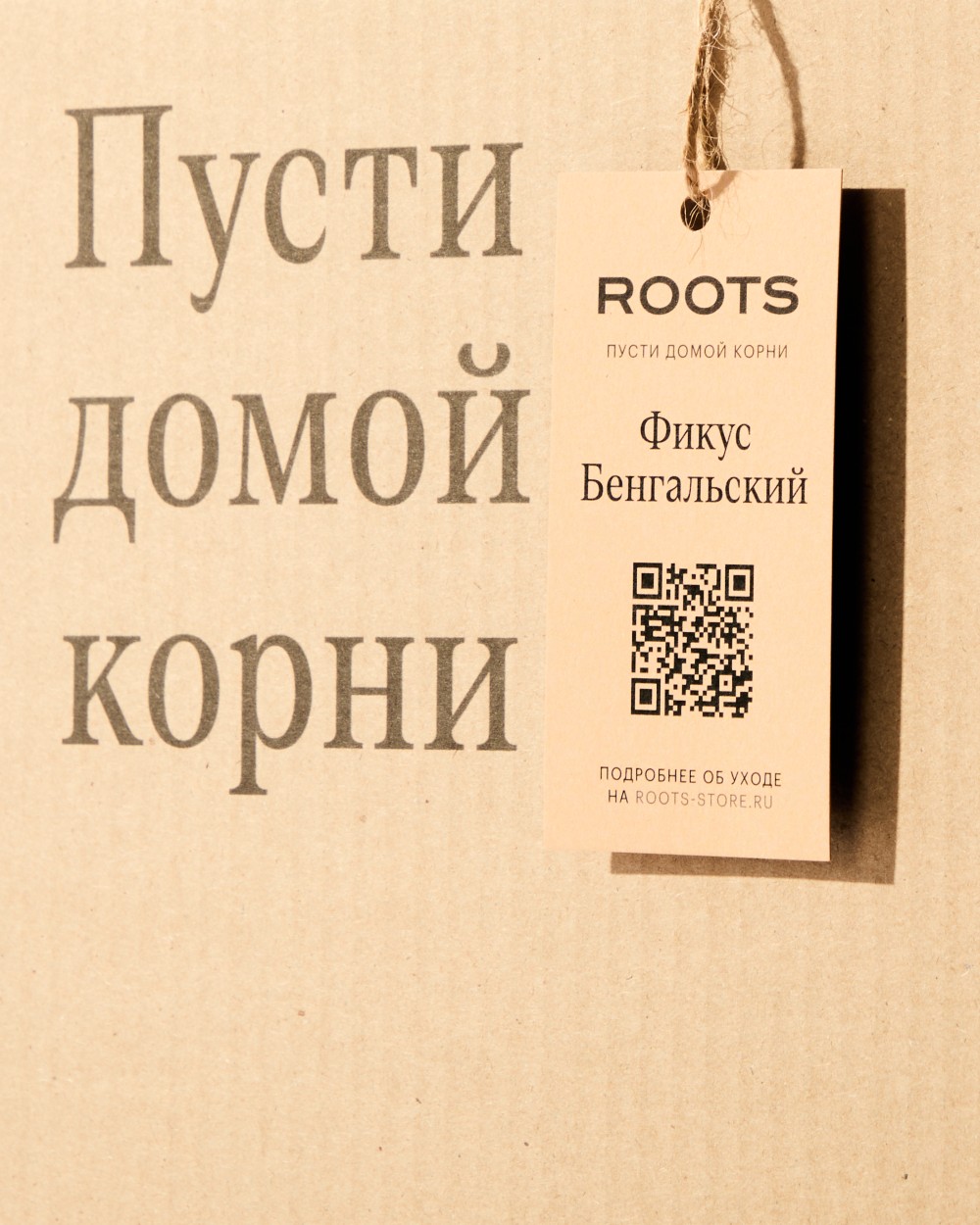 Фикус бенгальский