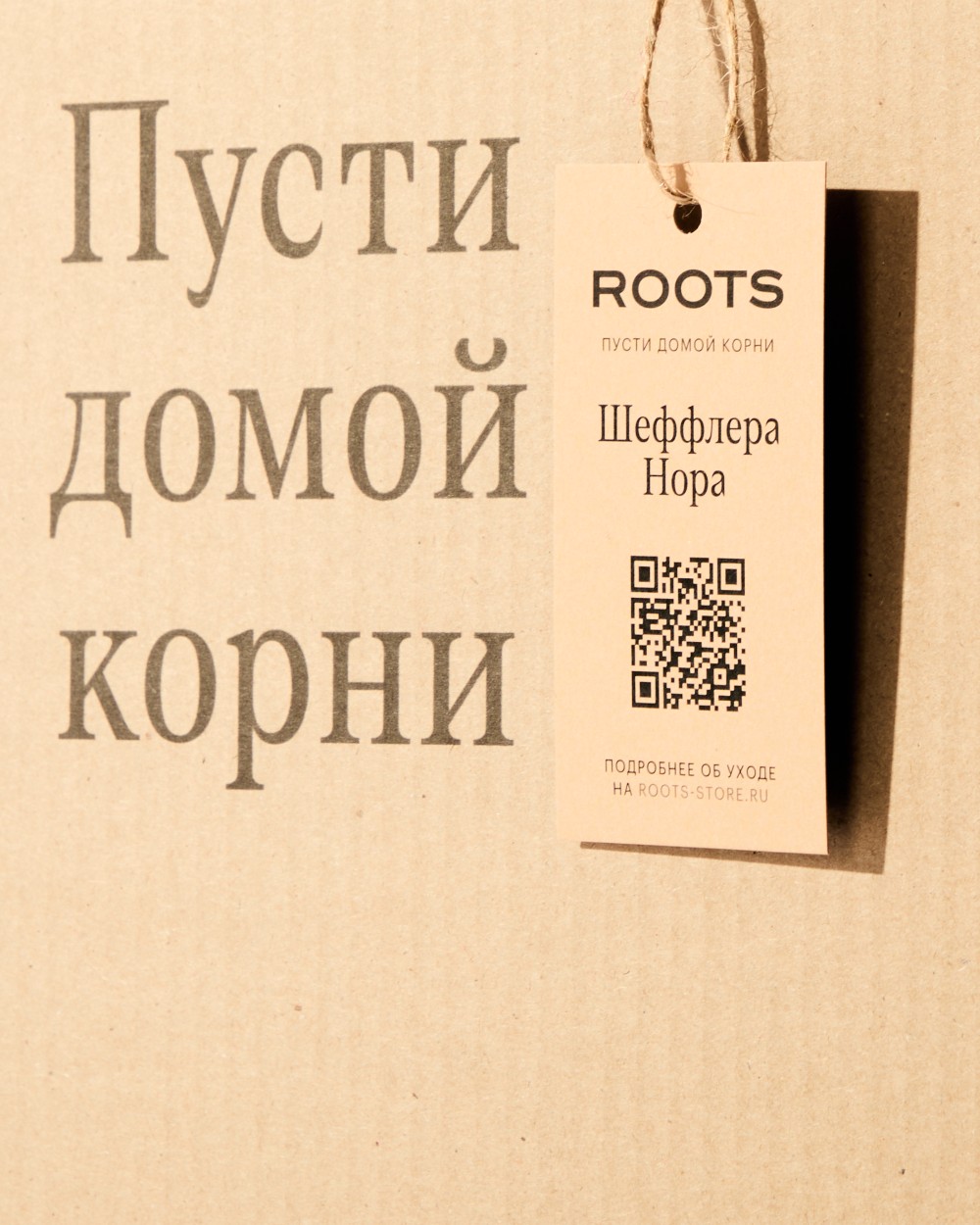 Шеффлера Нора