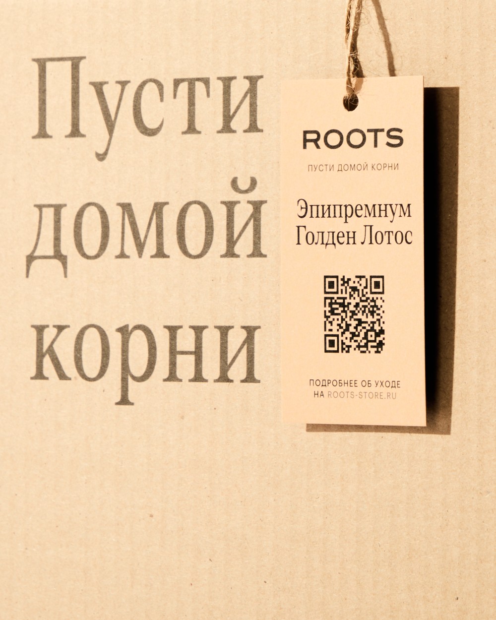 Эпипремнум Голден Лотос