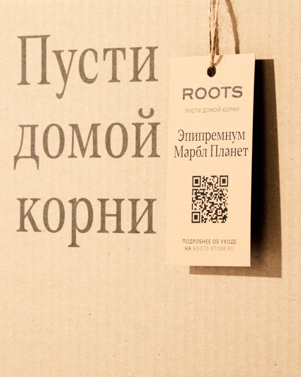 Эпипренум Марбл Планет