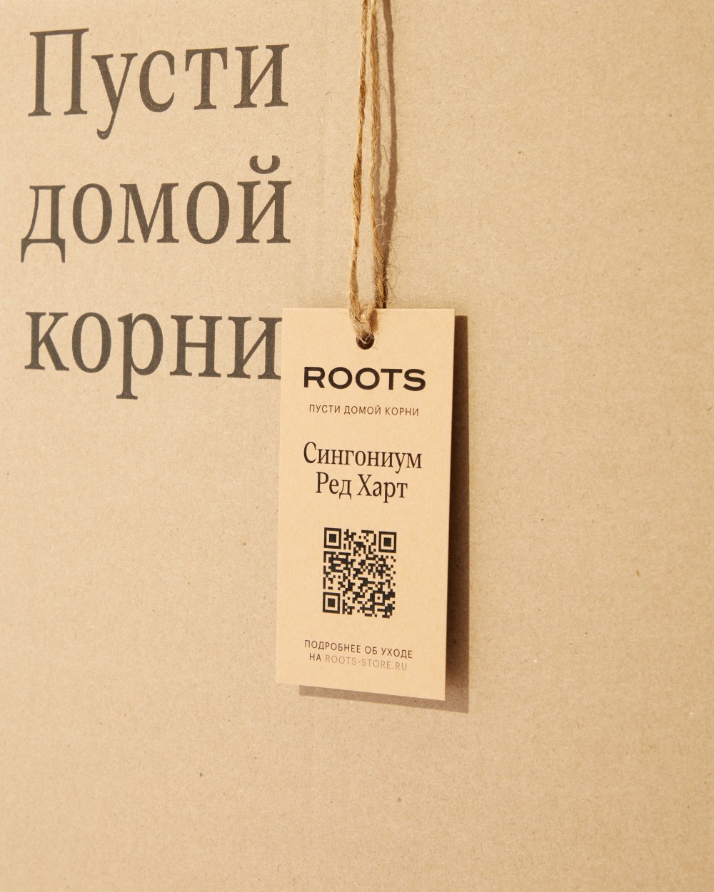 Сингониум Ред Харт