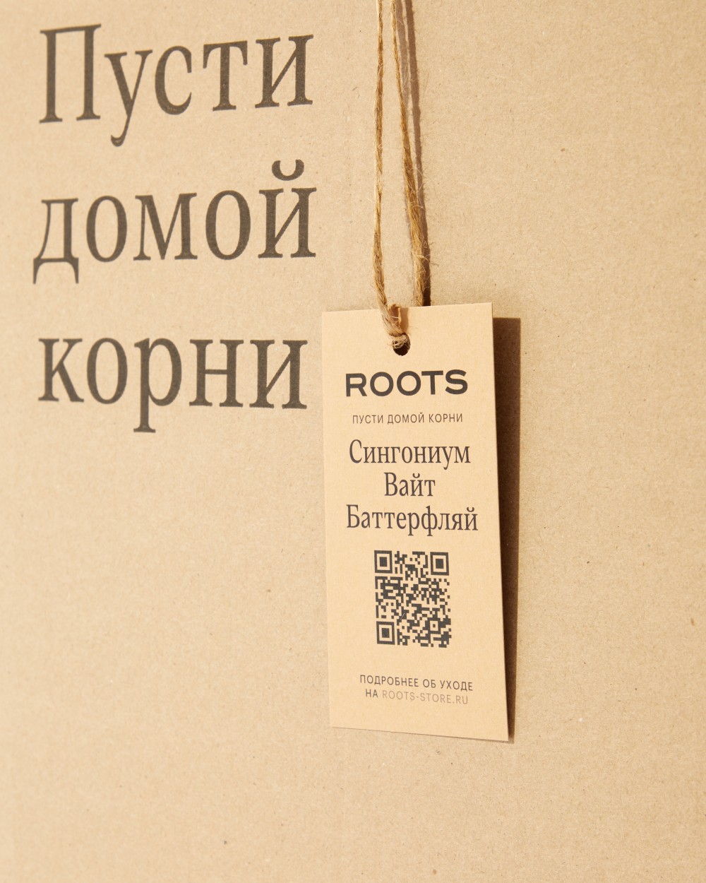 Сингониум Вайт Баттерфляй Сингониум Вайт Баттерфляй