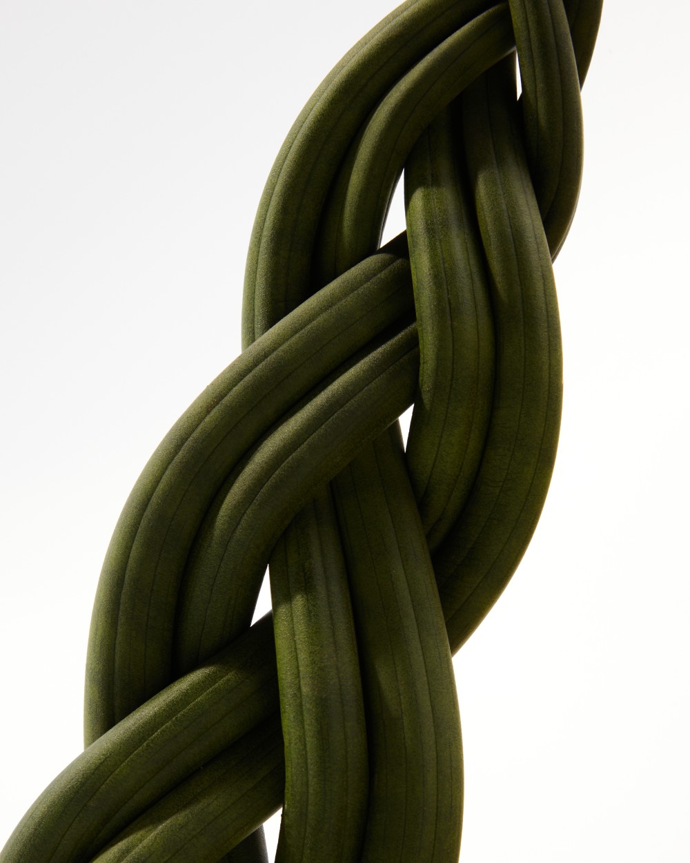 Сансевиерия Цилиндрика Коса