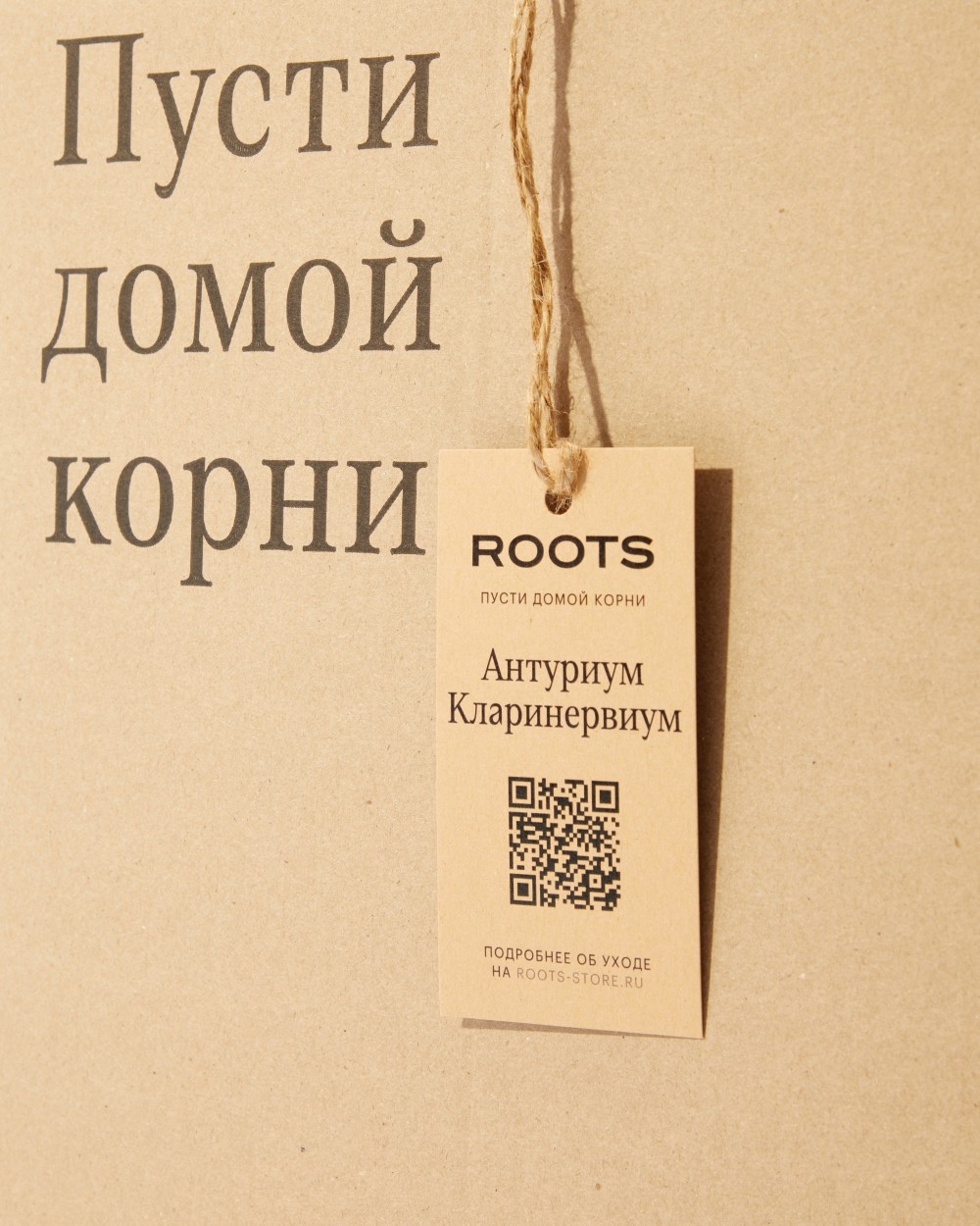 Антуриум Кларинервиум