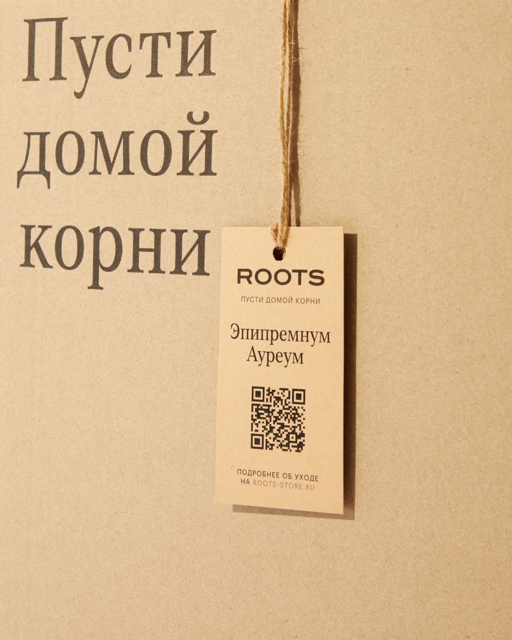 Эпипремнум Ауреум