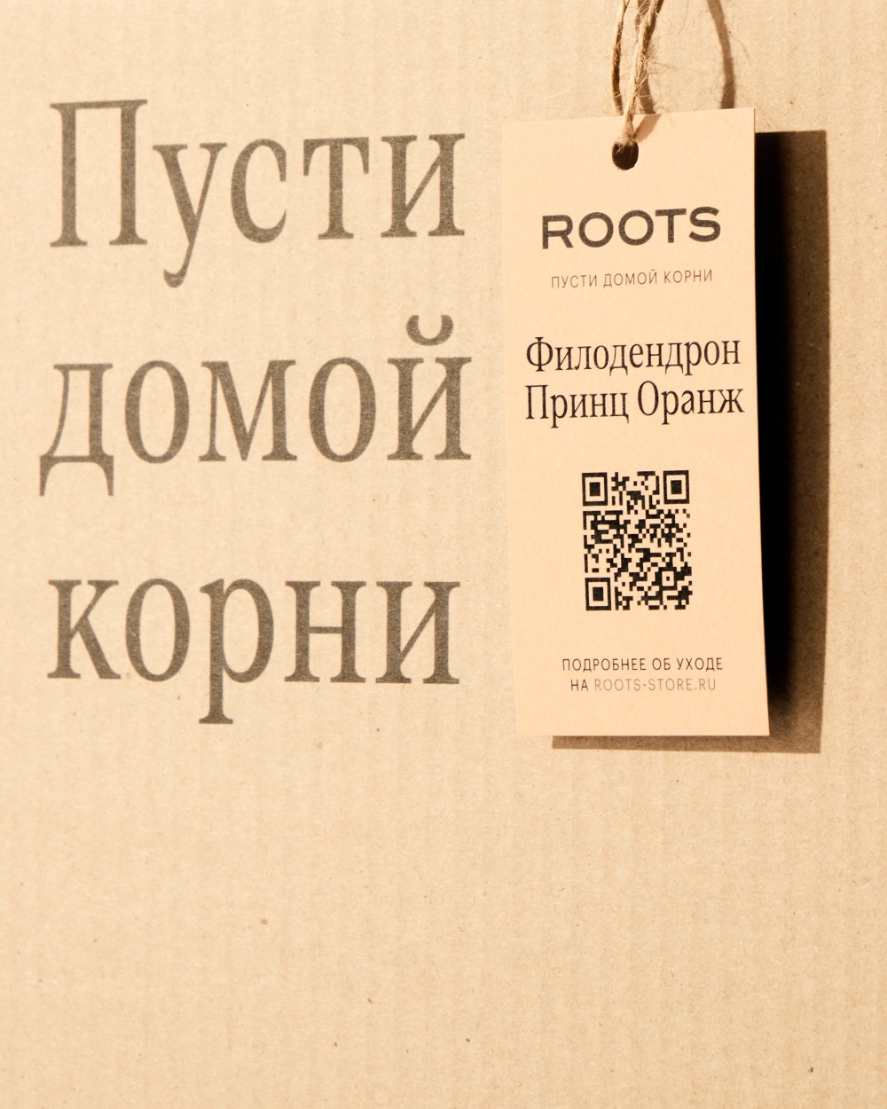 Филодендрон Принц Оранж