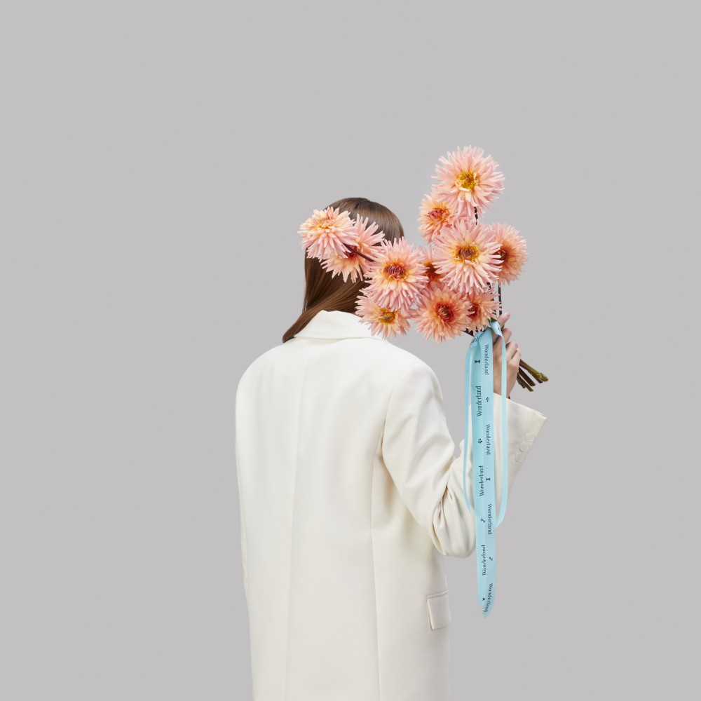 Wonderland 066