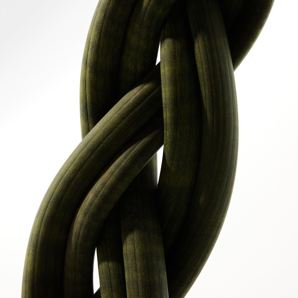 Сансевиерия Цилиндрика Коса