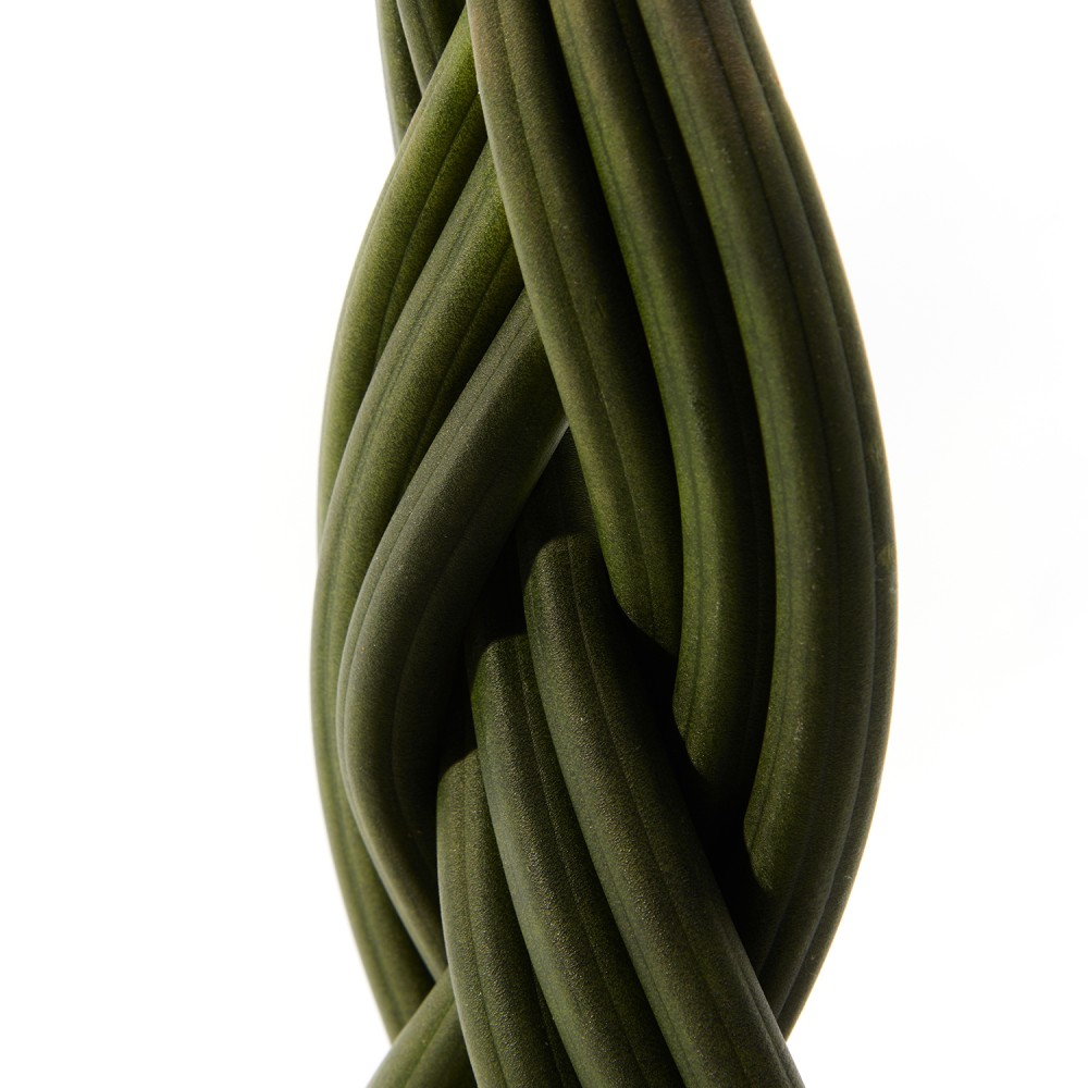 Сансевиерия Цилиндрика Коса