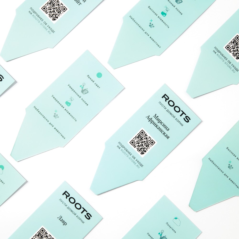 Бонсай Кармона