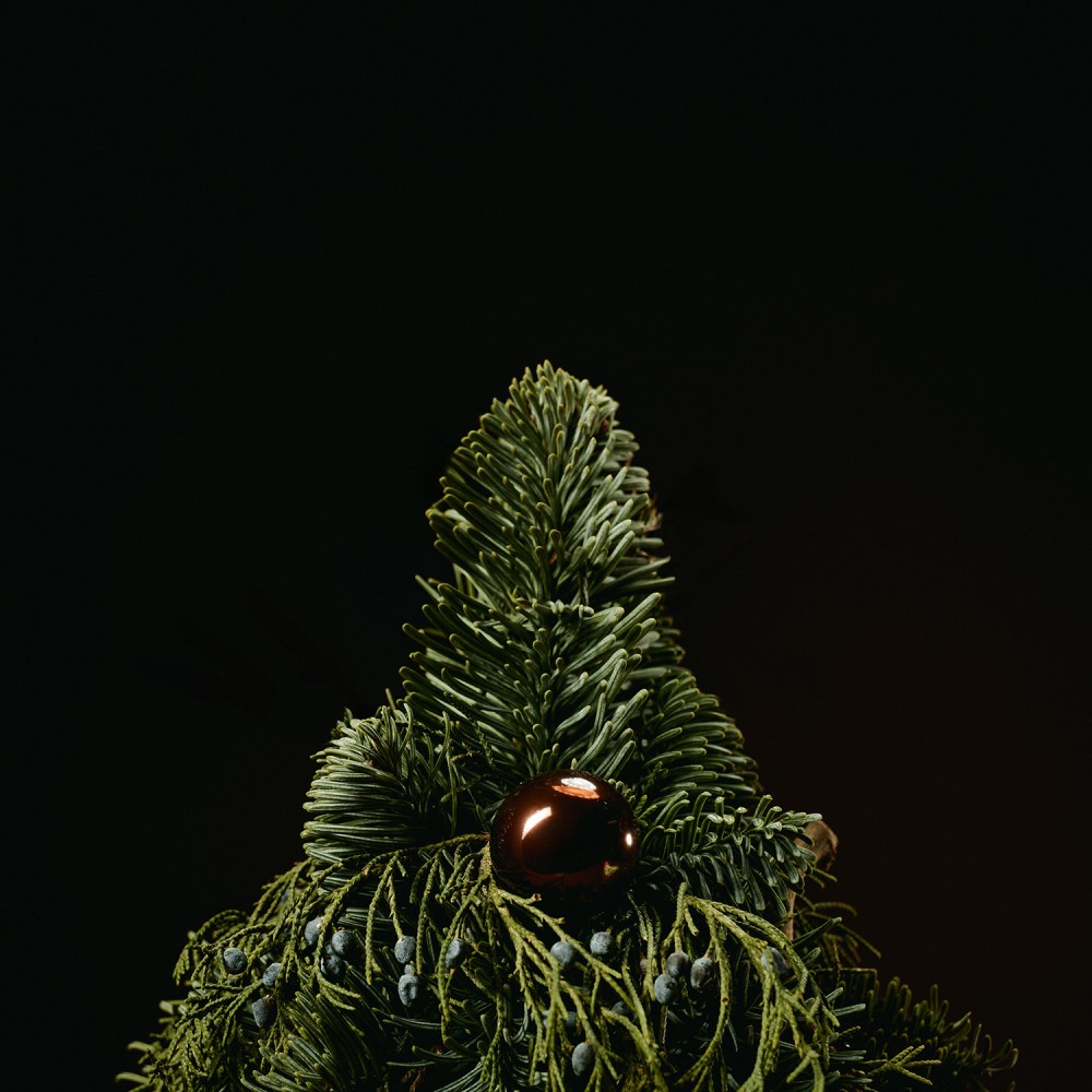 New Year 018 New Year 018