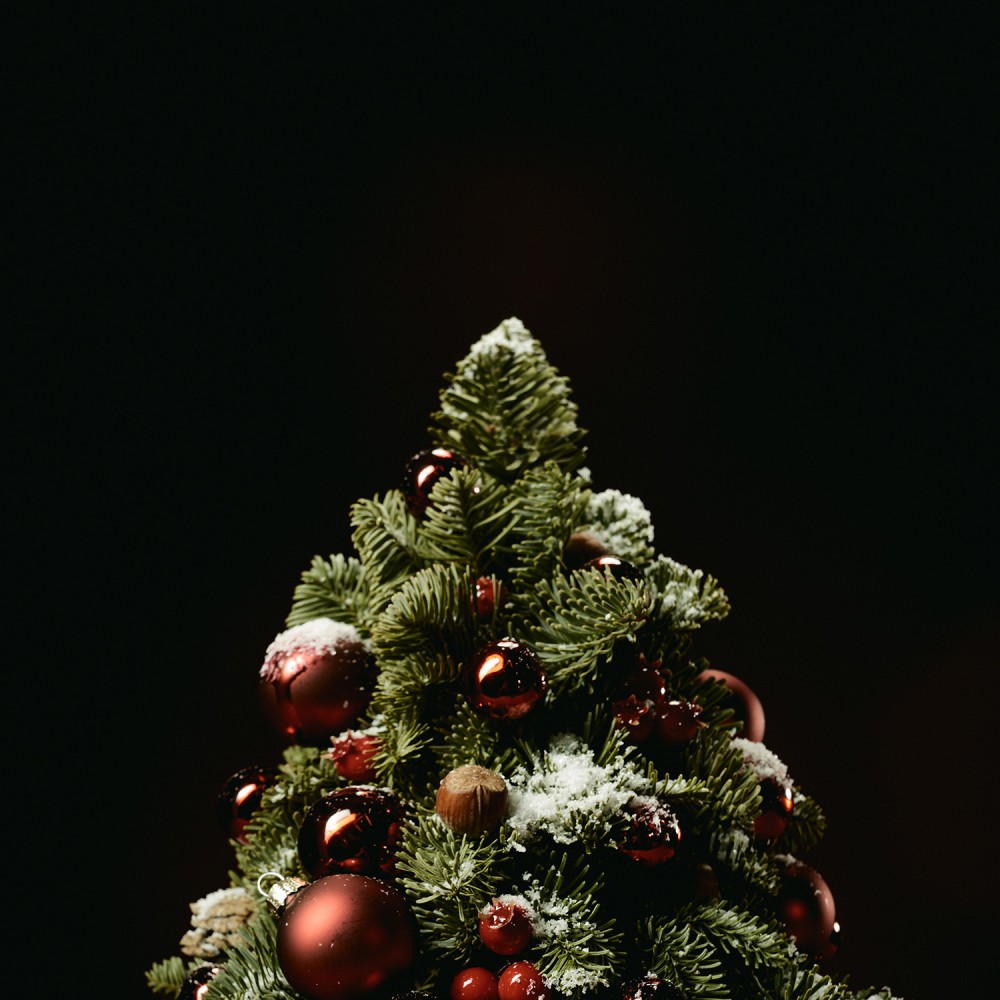 New Year 002 New Year 002