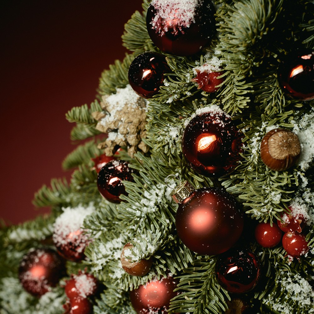 New Year 002 New Year 002