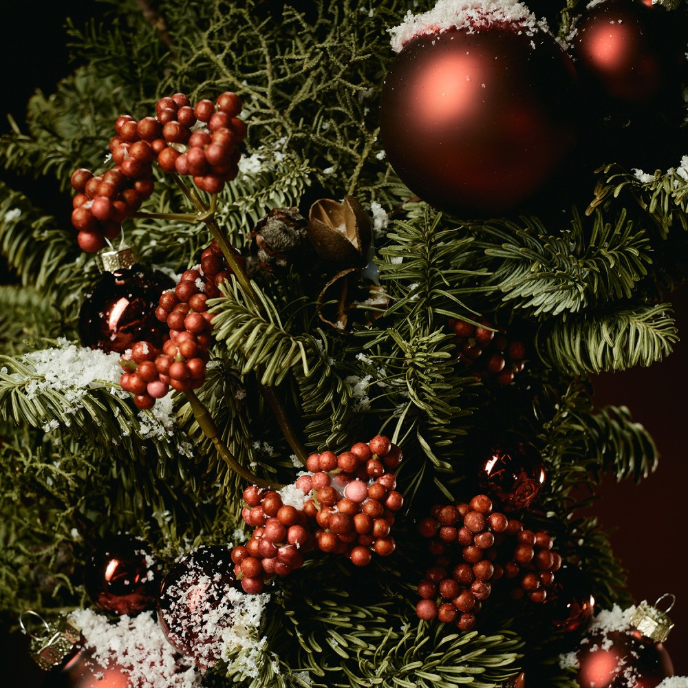 New Year 004 New Year 004