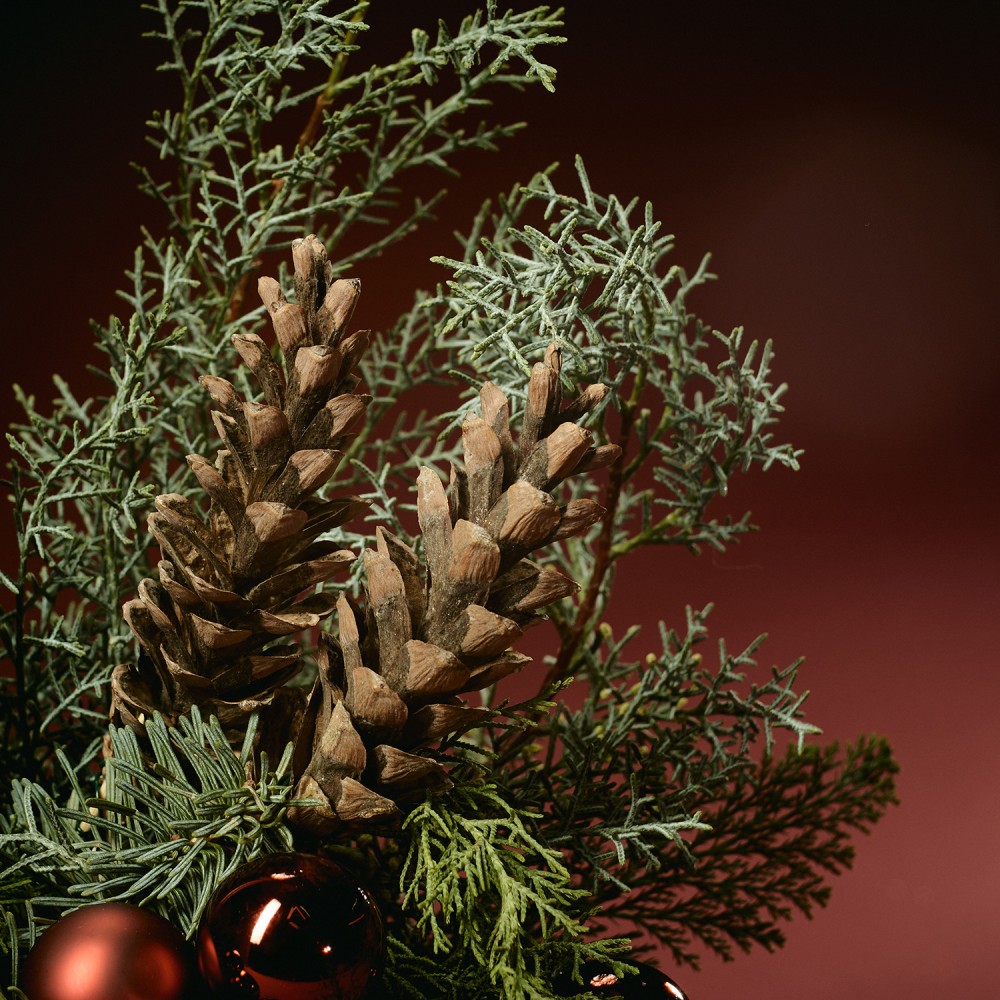 New Year 021 New Year 021