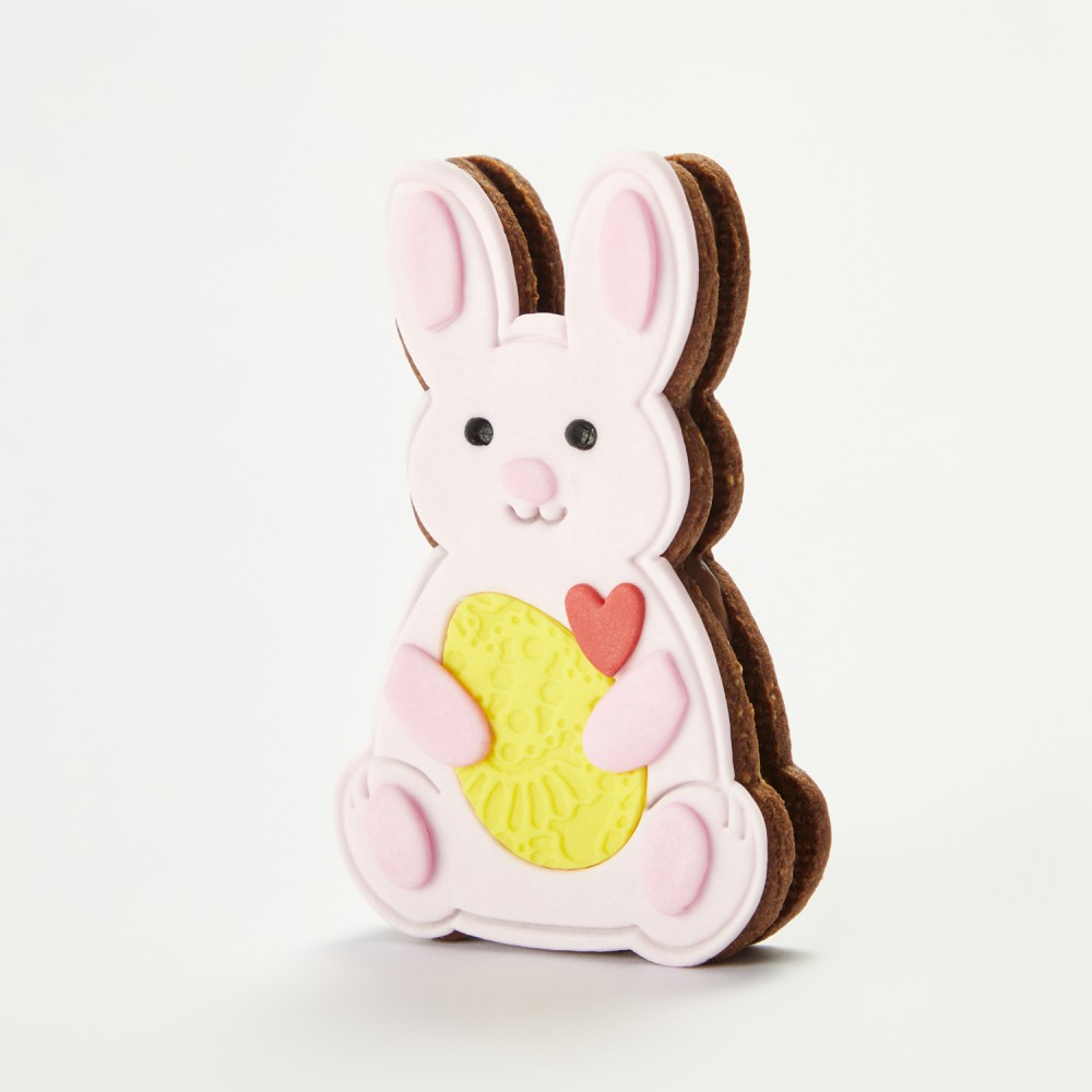 Печенье Счастье Пасхальный кролик Печенье Счастье Пасхальный кролик