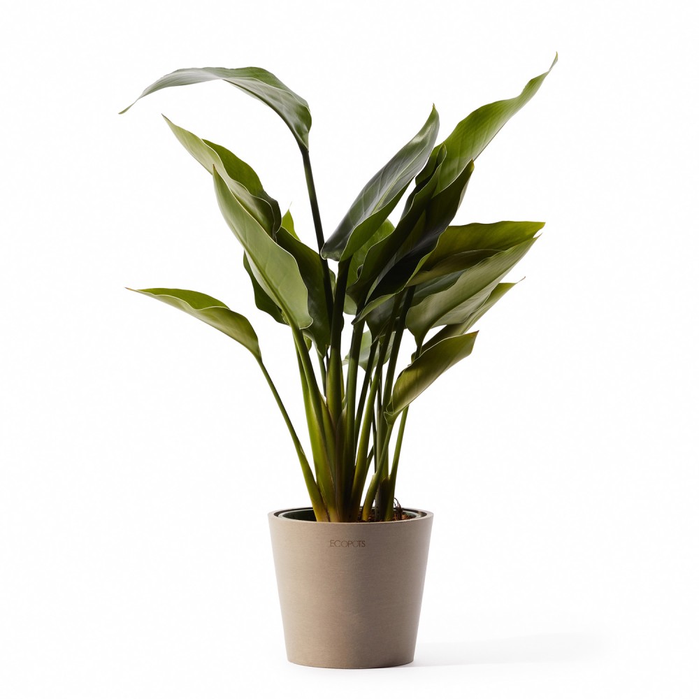 Кашпо Ecopots Amsterdam Mini d13 серо-коричневое Кашпо Ecopots Amsterdam Mini d13 серо-коричневое