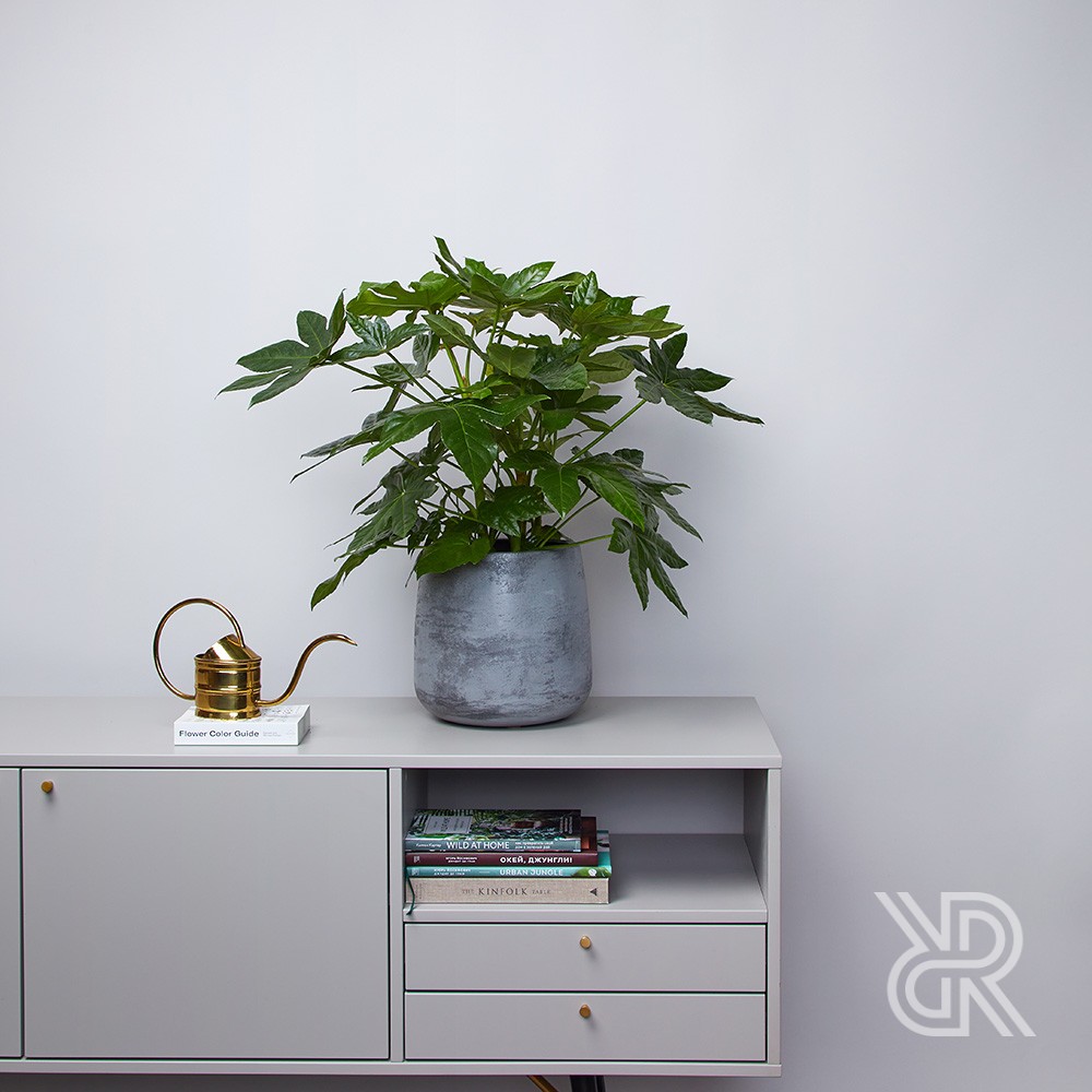 Кашпо d24 Grey Кашпо d24 Grey